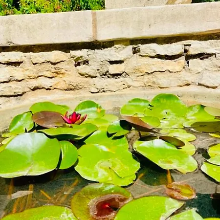 Les Jardins Extraordinaires Prázdninový dům Thonnance-lès-Joinville