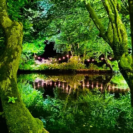Les Jardins Extraordinaires Thonnance-lès-Joinville